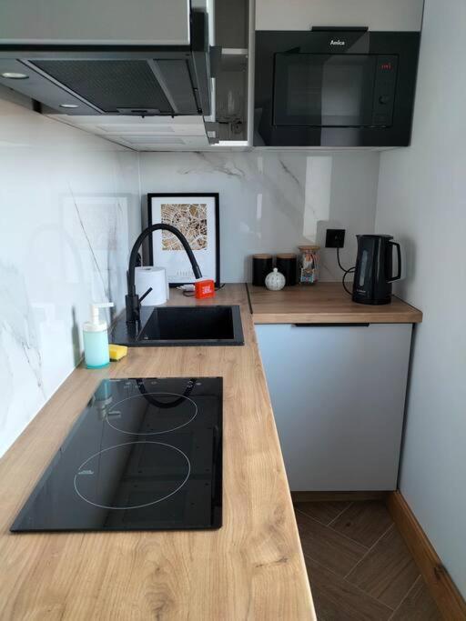 Uroczy Apartament W Centrum Krakowa Extérieur photo