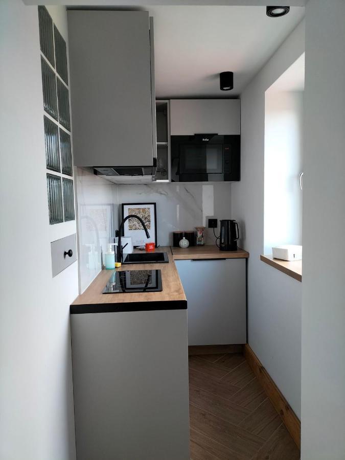 Uroczy Apartament W Centrum Krakowa Extérieur photo